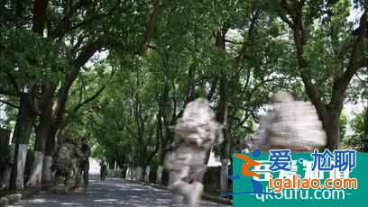 《蓝军出击》：多有“出其不意，攻其不备”，大剧必有看头？