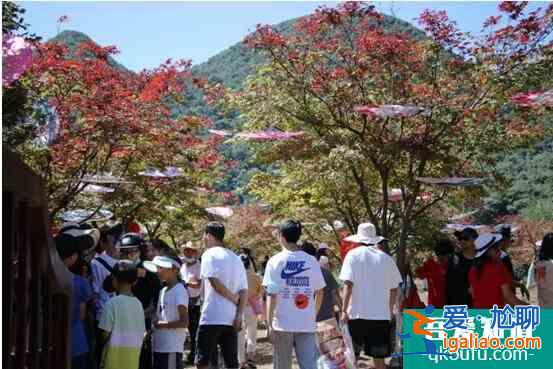 棕榈股份生态城镇项目“中秋佳节”迎出游小高峰，各景区经营情况持续提升？