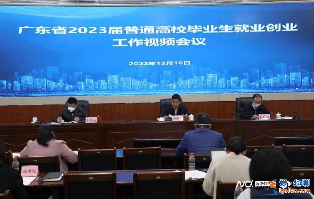 谁的文凭“失灵”了？“慢就业族”反复考研找前途？