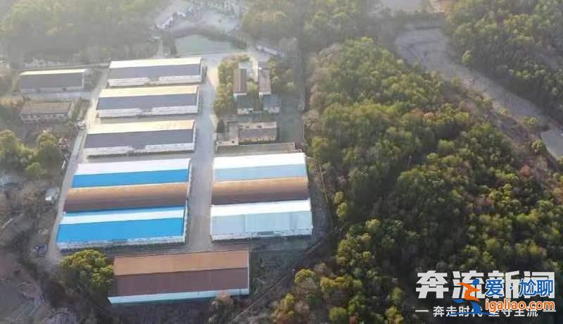 胡鑫宇遗体发现地距森林公安局150米 “搜寻时一直扩大范围 没想到人就在跟前”？