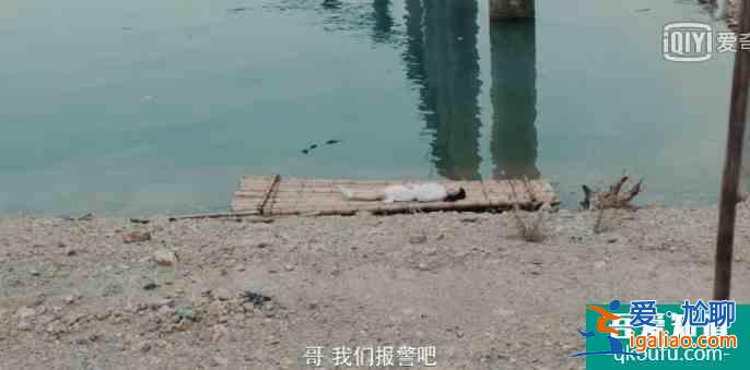 《非常目击》：白鸽案初露端倪，剧情总算要进入主题了？