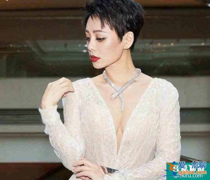 宁静谈《乘风破浪的姐姐》 选手多才多艺令其颇感压力？