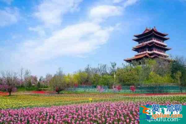 2021郑州园博园什么时候开放怎么预约？