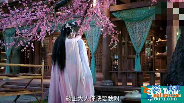 亲爱的药王大人：板蓝根带你追夫，何老师帮忙宣传，一口气追完？