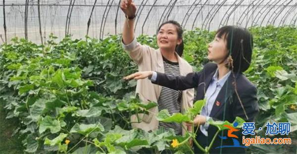 强国先强农，后期应该聚焦粮食安全与乡村基建[乡村基建]？
