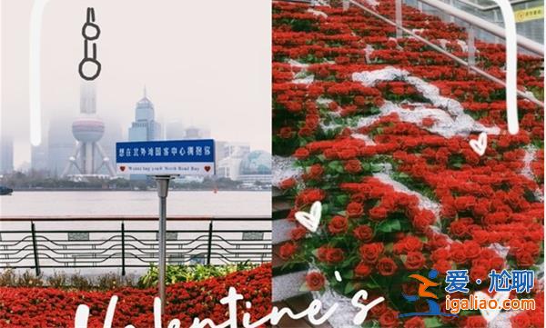 杭州地铁口惊现玫瑰瀑布，吸引无数人拍照[玫瑰瀑布]？
