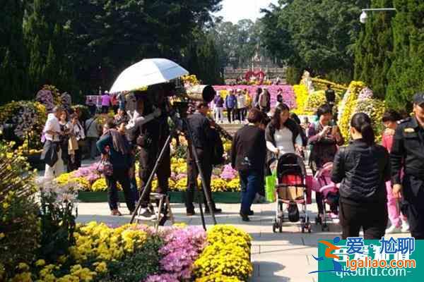 2021广州黄花岗第七届黄花文化节举办时间+地点+门票？