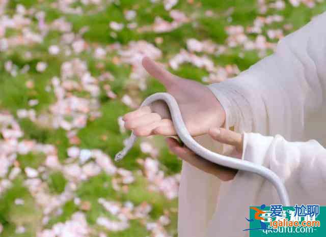 《琉璃》开播，特效虚假，剧情俗套，它能爆吗？？