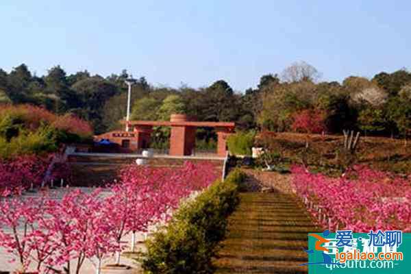 南昌湾里磨盘山森林公园特色玩法？