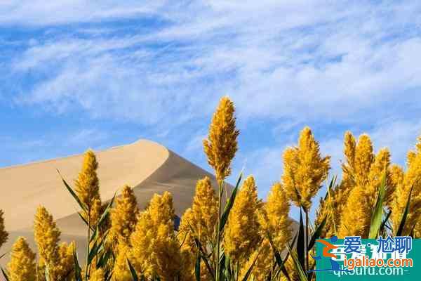 11月24日起月牙泉景区、玉门关景区、雅丹景区、敦煌博物馆恢复开放？