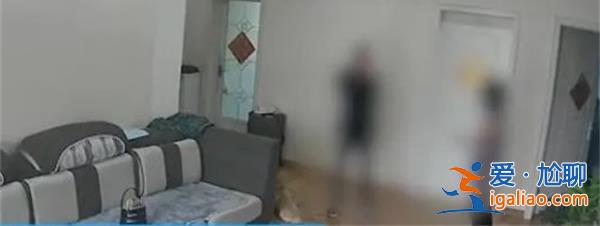 与前夫摆拍家暴视频女子出镜道歉，平台下架所有视频[家暴视频]？