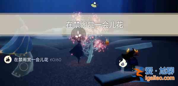 光遇禁阁赏花任务如何完成？禁阁赏花任务指南与分享？