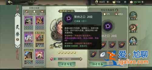 斗诡有哪些灵兽可以进行优先培养？灵兽优先培养建议与推荐？