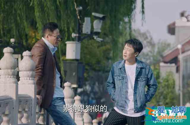 总局脱水收视率：《二十不惑》仅有0.43%，排名为何不如《胜算》？