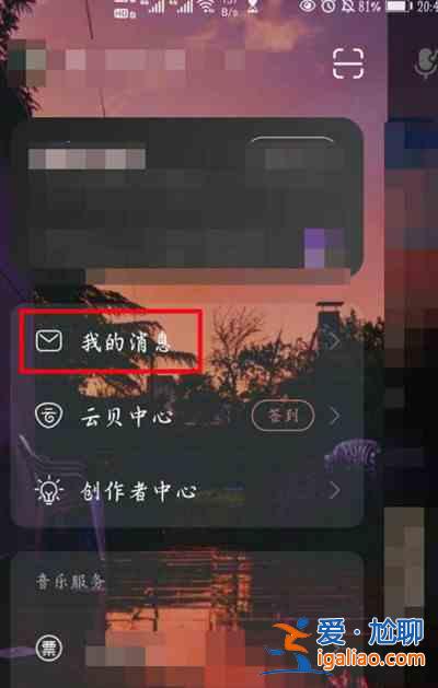 网易云音乐赠送好友黑胶会员怎么操作？赠送好友黑胶会员操作教程推荐？