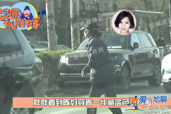 陈好为什么不演戏了 近况曝光现身医院开药 女儿陪同情况严重引担忧