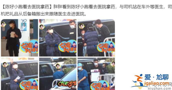 陈好为什么不演戏了 近况曝光现身医院开药 女儿陪同情况严重引担忧