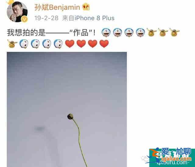 柳云龙[胜算]5年后终开播，[风筝]山城F4再聚三缺一，宫庶去哪了？