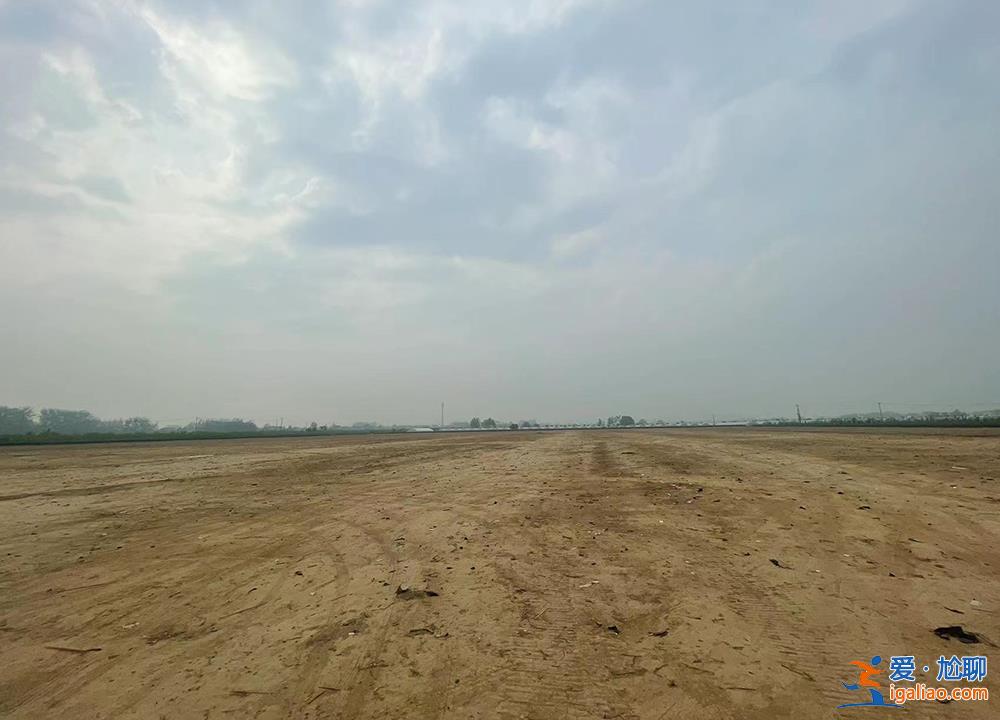 女杂技演员高空表演坠亡之后？
