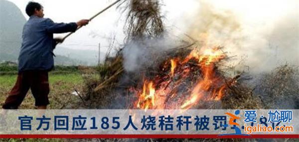 185人焚烧秸秆被罚1.782亿 秸秆非烧不可吗 究竟为何不愿秸秆还田？