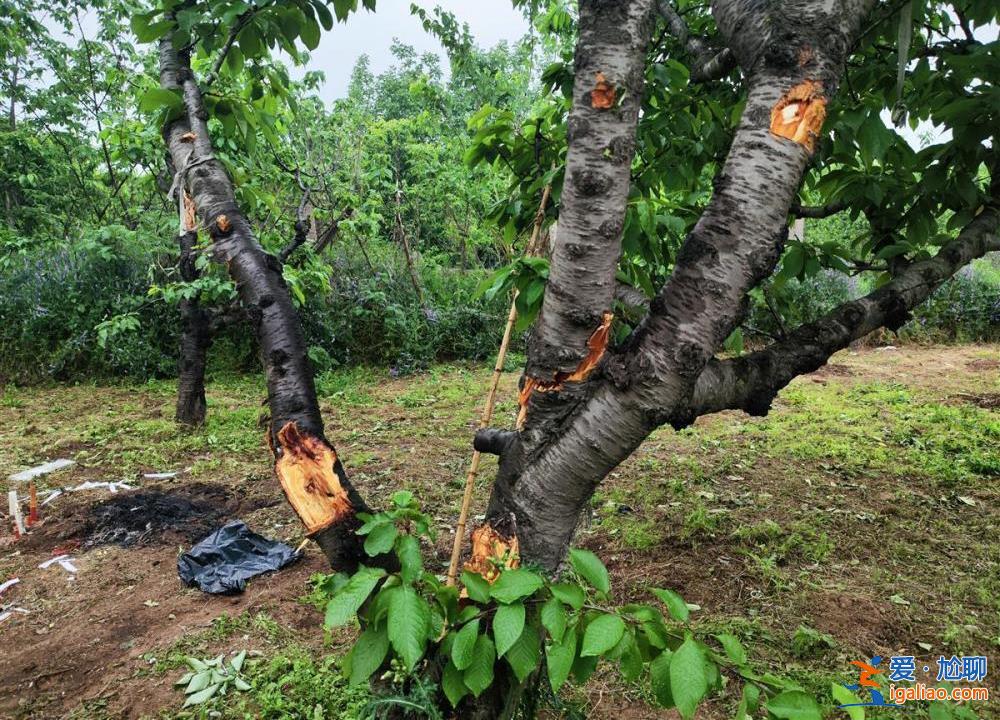 陕西西安一架直升机坠落3人遇难 记者实探坠机现场？