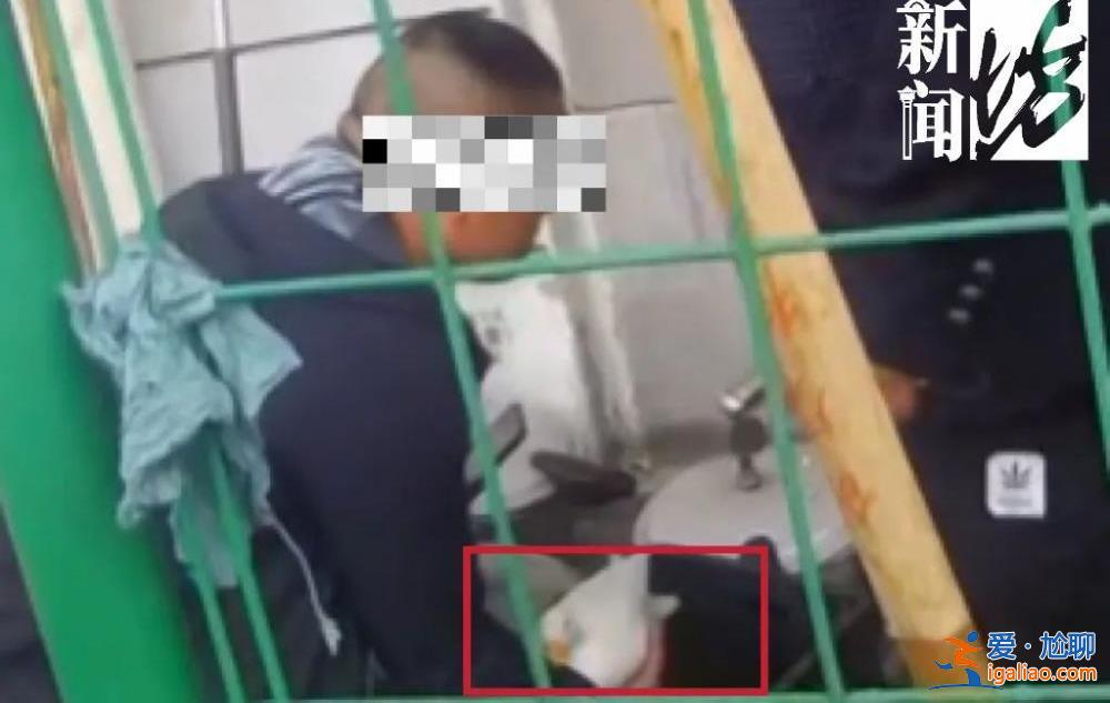 上海一价值万元的宠物鸭在花园散步被人掳走 差点被做成“老鸭煲”？