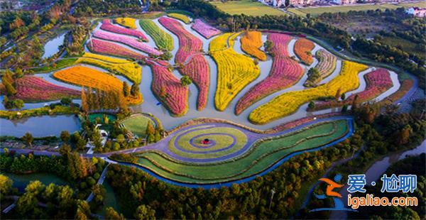 冥想花园、宣泄花园……上海最大的疗愈花园已经试运营[宣泄花园]？