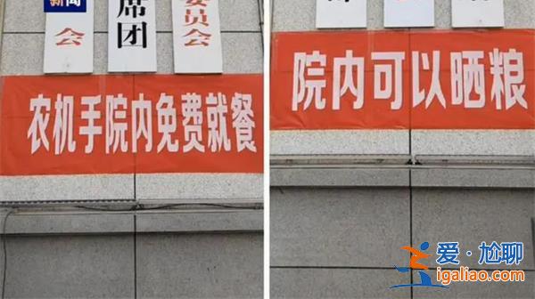 麦收九成 这些地方变成晒粮场？