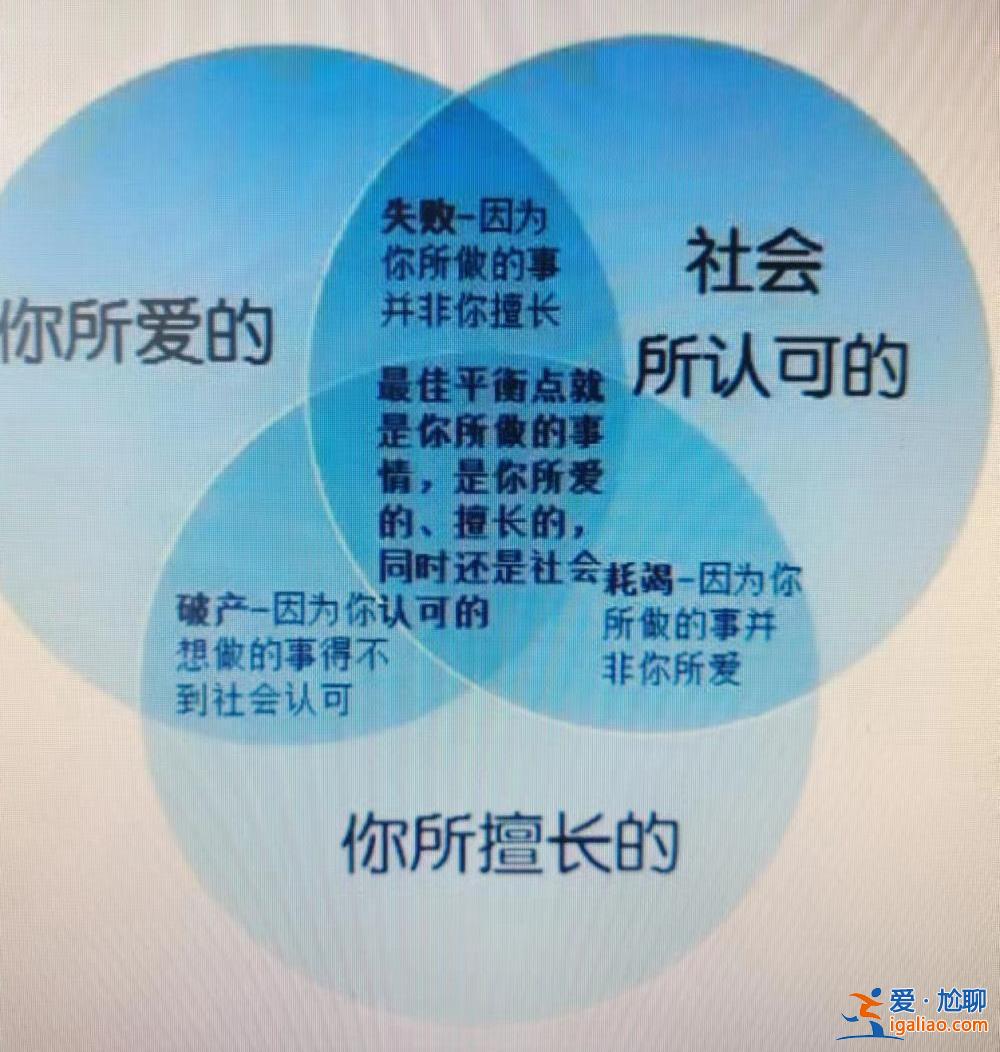 高考报志愿 我终于跟当时的自己和解了？
