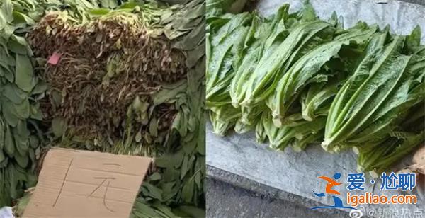 卖菜大爷挣21元被罚款11万元，卖菜为什么会被罚款[挣21元]？