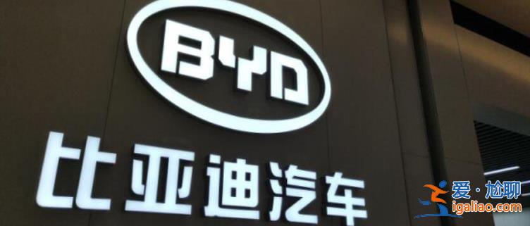 净赚117亿 交付125.56万辆 比亚迪已绝对“安全”短时难被撼动？
