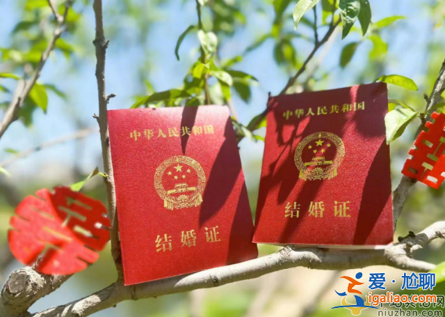 孙杨张豆豆官宣结婚!晒登记照满脸幸福，获得网友们一片祝福
