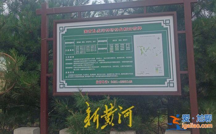 女商人实名举报亲属盗矿毁林 被举报人曾涉瞒报死亡事故 警方回应？