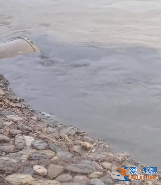 系沉淀污泥流入黄河形成黑色水带？