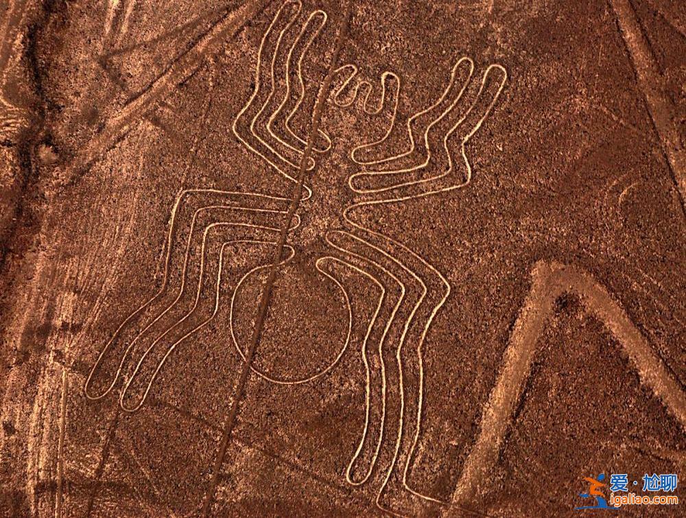 “外星人尸体被展出”上热搜 盘点近年来各国发现外星人事件？