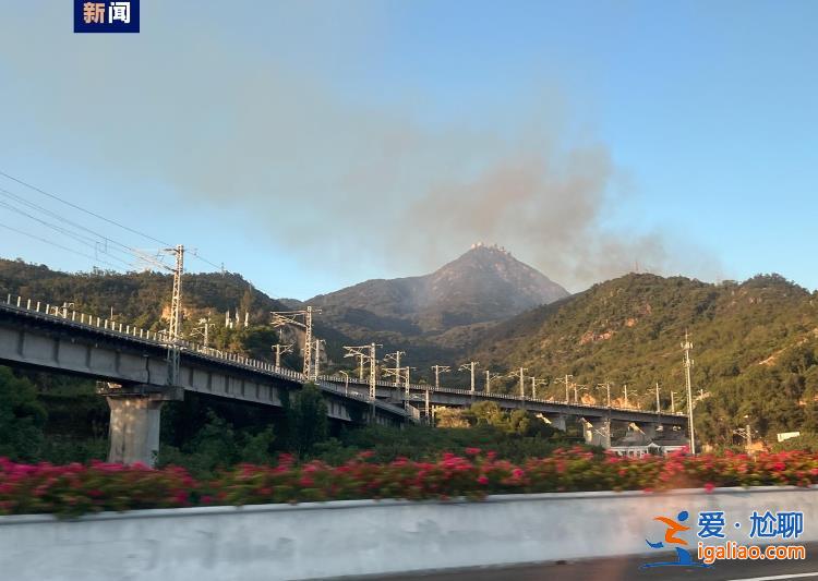 福州鼓山突发山火 目前多方力量已赶赴现场？