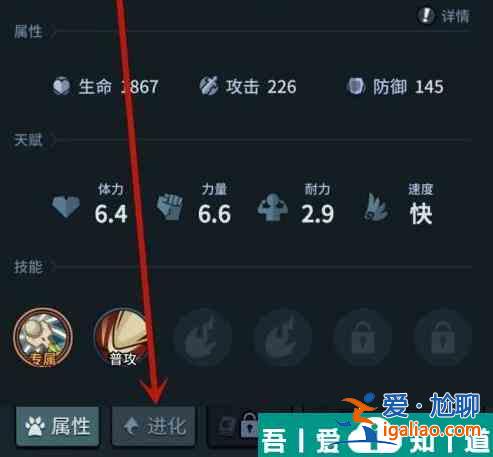 提灯与地下城宠物怎么进化 提灯与地下城宠物进化攻略？