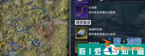 星球重启紫眼刺空裂鱼位置 具体一览？
