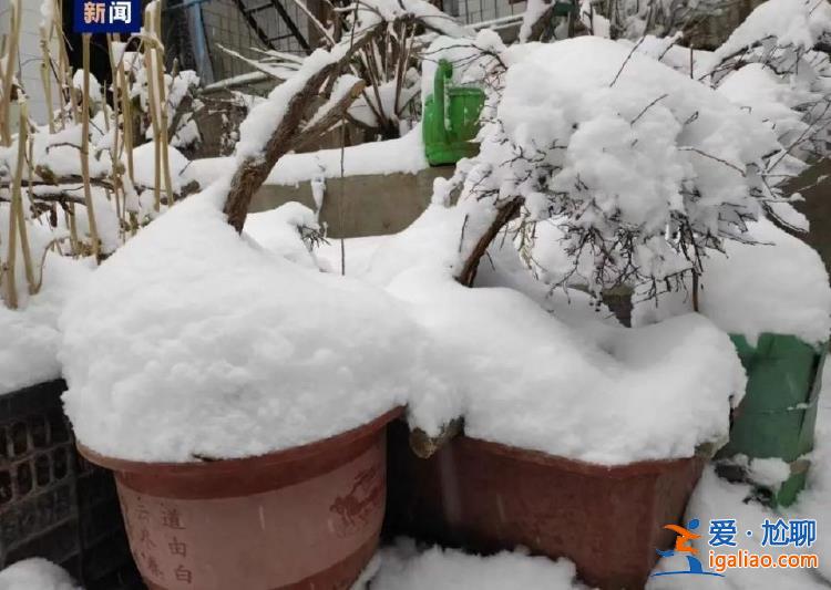 暴雪！暴雨！最高降温10℃！新一轮阴雨天气即将上线？