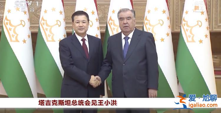 公安部部长王小洪出国 有几个重要细节？