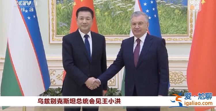 公安部部长王小洪出国 有几个重要细节？