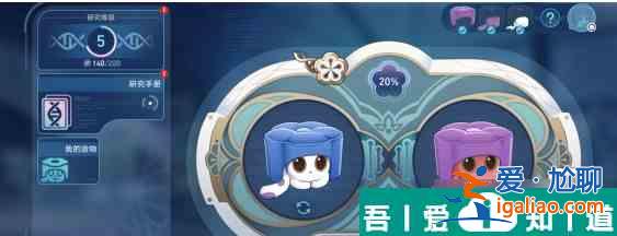 崩坏星穹铁道墨镜猫咪怎么合成 墨镜猫咪合成配方？