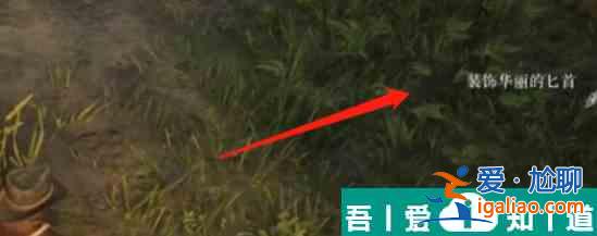 荒野大镖客2传说中的吸血鬼具体在哪 具体位置介绍？