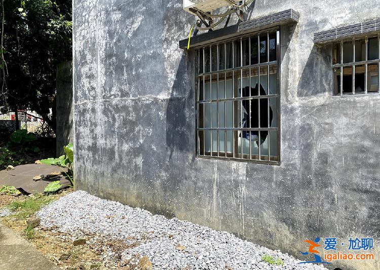 广东阳春血案背后 一场地界“模糊”的土地纠纷？