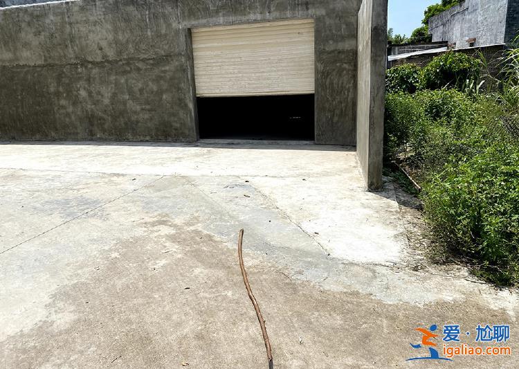 广东阳春血案背后 一场地界“模糊”的土地纠纷？