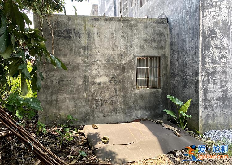 广东阳春血案背后 一场地界“模糊”的土地纠纷？