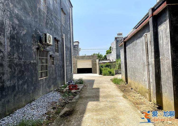 广东阳春血案背后 一场地界“模糊”的土地纠纷？