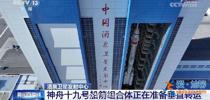 神舟十九号船箭组合体将进行垂直转运？