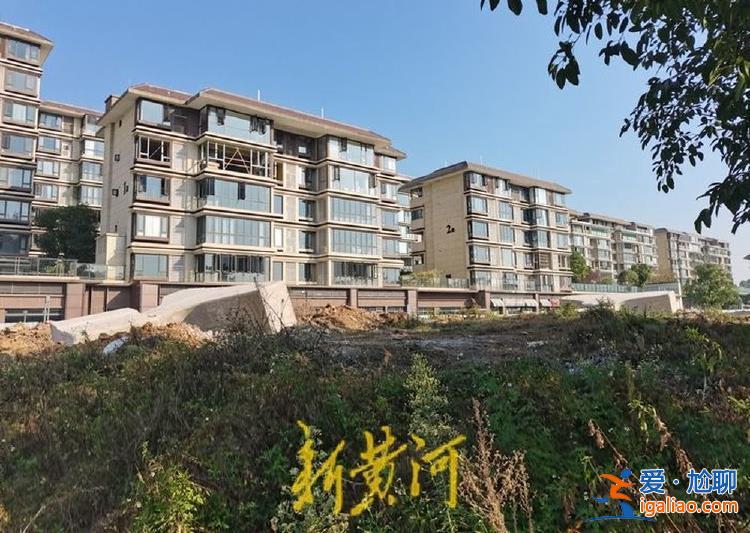 豪砸百亿、未批先建的“一场豪赌”？
