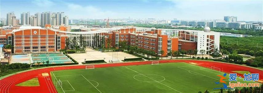 张江实验中学 升学率(华师大张江实验中学升学率高吗)？